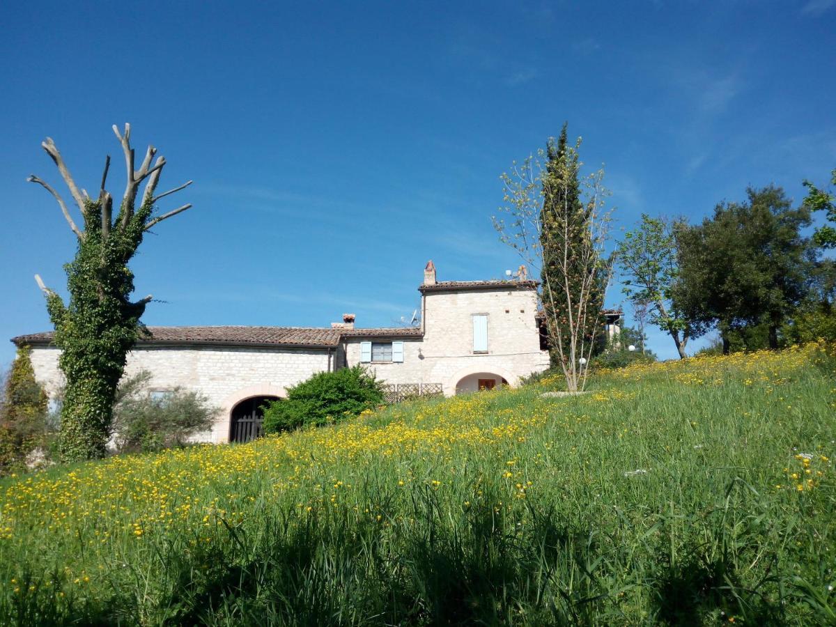 Agriturismo Del Frontino - Lo Studio Acqualagna Bagian luar foto