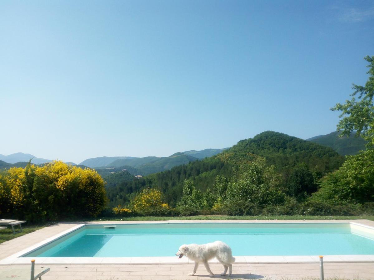 Agriturismo Del Frontino - Lo Studio Acqualagna Bagian luar foto
