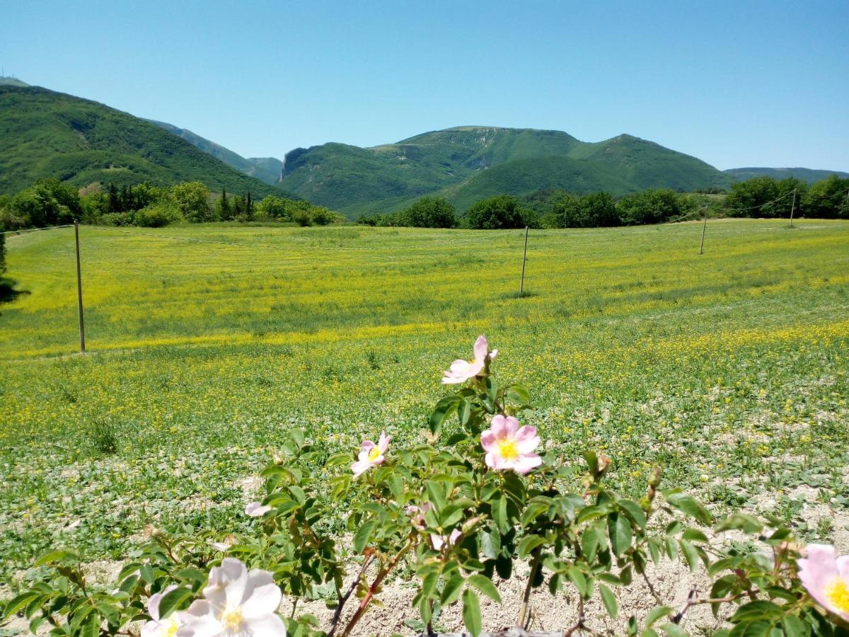 Agriturismo Del Frontino - Lo Studio Acqualagna Bagian luar foto