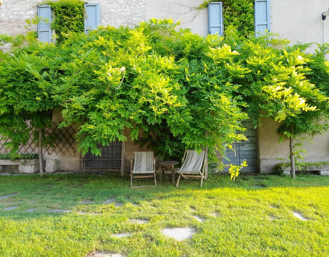 Agriturismo Del Frontino - Lo Studio Acqualagna Bagian luar foto