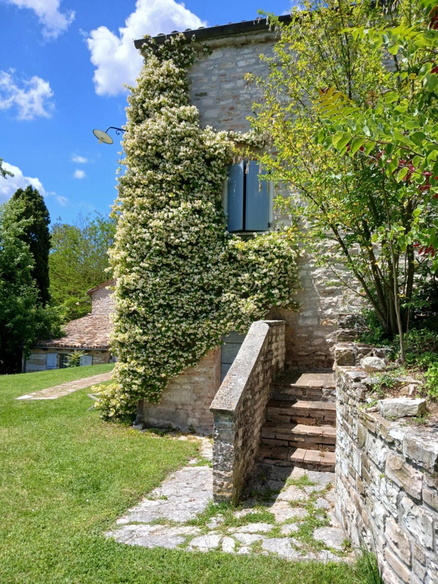 Agriturismo Del Frontino - Lo Studio Acqualagna Bagian luar foto
