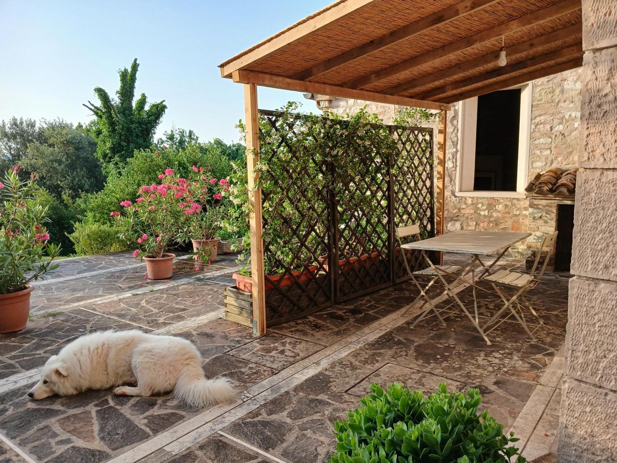 Agriturismo Del Frontino - Lo Studio Acqualagna Bagian luar foto