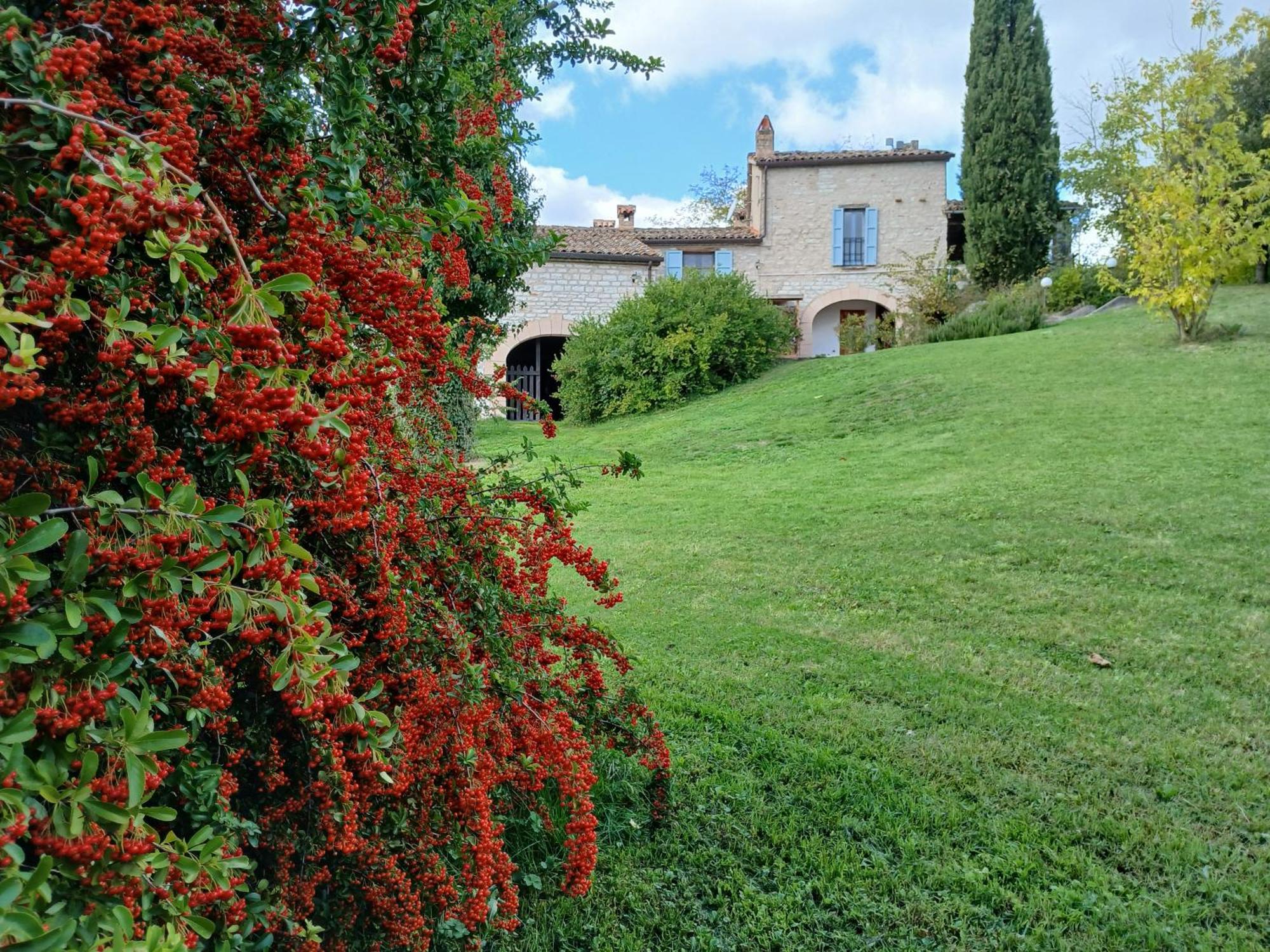 Agriturismo Del Frontino - Lo Studio Acqualagna Bagian luar foto